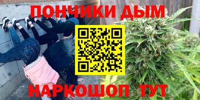 хмурый Гатчина