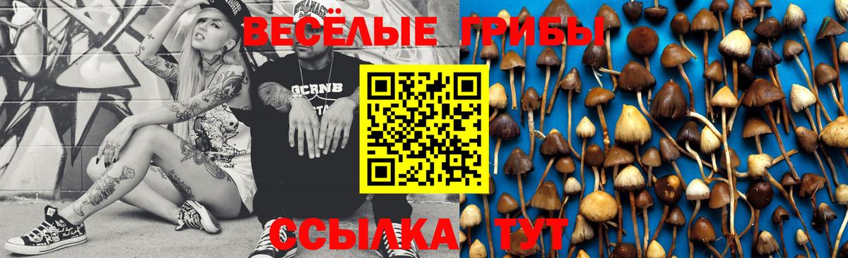 Мурманск  что такое наркотик  Псилоцибиновые грибы Magic Shrooms  Вход с VPN  Псилоцибиновые грибы прущие грибы 
