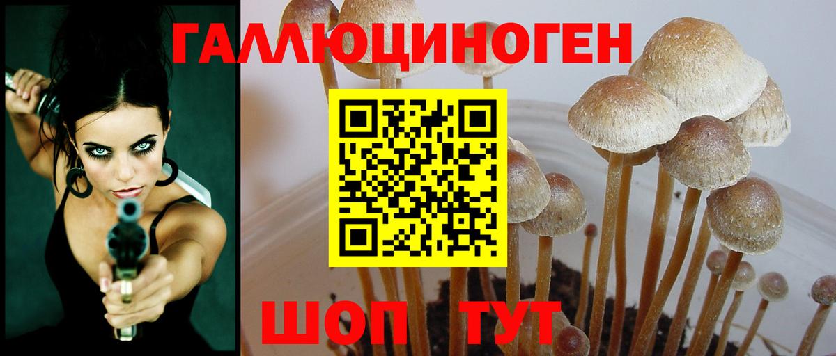 Галлюциногенные грибы Cubensis Мурманск
